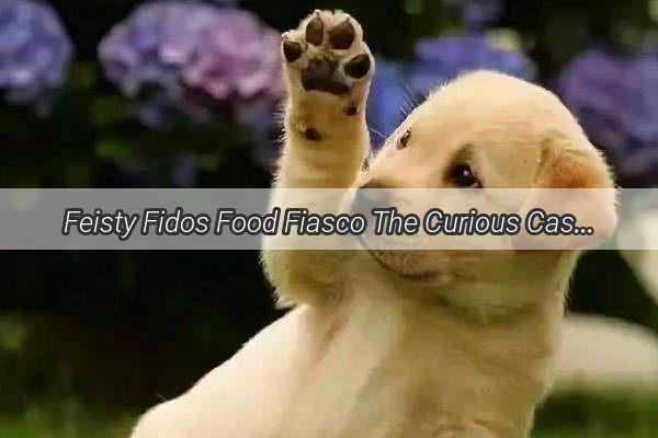 Feisty Fidos Food Fiasco The Curious Case of the Picky Canine